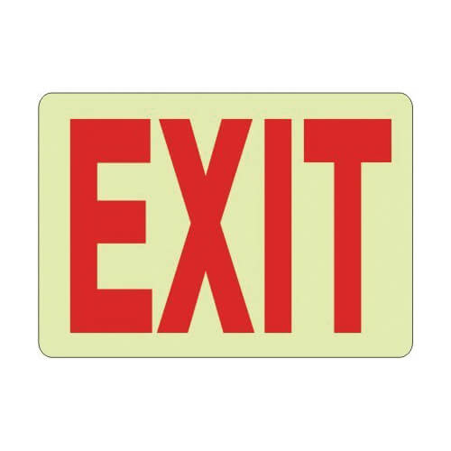 Safehouse Signs GL-168133 Exit Sign, 10 in H x 14 in W, Polystyrene Plastic