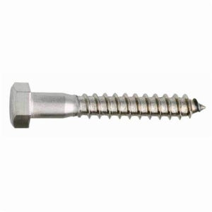 BBI® 782036 Lag Screw, 1/4-10, 2-1/2 in OAL, 18-8 SS