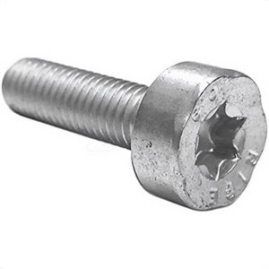 Stihl® 9022 341 1010 Spline Screw, M5 x 18